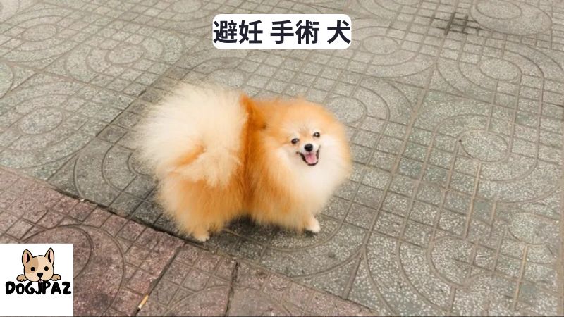 犬 寿命